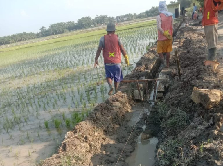 Stop dan blacklist perilaku mafia proyek dibatubara, banyak pekerjaan dikerjakan sembarangan