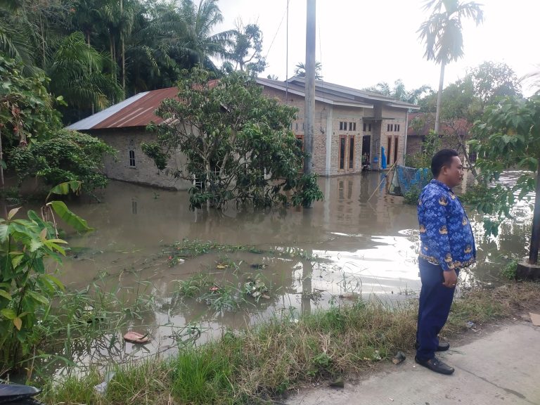 1772 hektar sawah di wilayah Batubara, Sumut . Puso akibat Banjir 1526 hektar berada di kecamatan seibalai , Pemerintah diharapkan segera Bangun dapur umum.