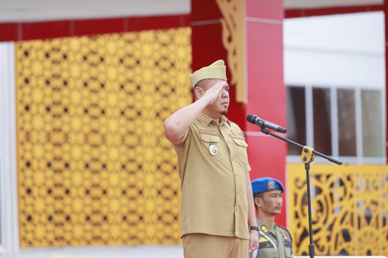 Wakil Bupati Batubara pimpin apel gabungan Wakil Bupati Batubara pimpin apel gabungan
