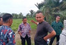 PJ Kades Desa Tanjung Muda Muhammad Nuur Saragih, SH Terbitkan SKT Diduga Tumpang Tindih, Warga Laporkan ke Polres Batu Bara