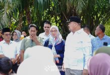 BUPATI BATU BARA SAMBUT Dr . RACHMI WIDIRIANI , SP. M,Si UNTUK UCAPKAN TERIMA KASIH KEPADA KEPALA BAPANAS RI BERSERTA JAJARAN BULOG ATAS BANTUAN SEBANYAK 99,6 TON